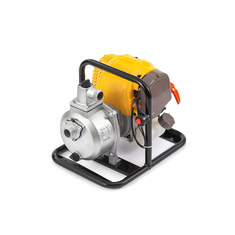 1 inch small water pump